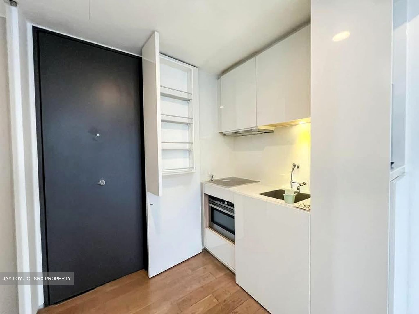 Skysuites@Anson (D2), Apartment #562187371